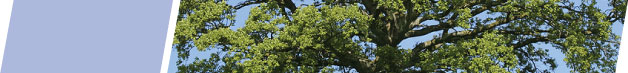 GREEN Standards
